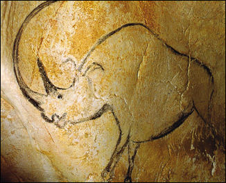 20120206-Chauvet Rhino grotte.jpg